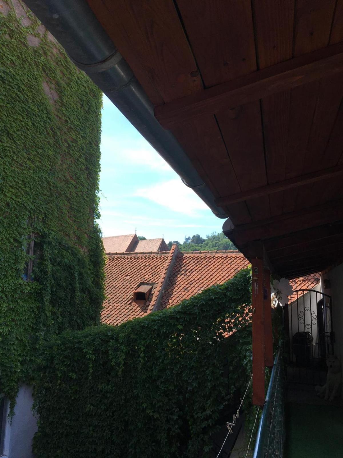 Castel Apartment